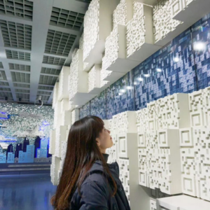 EP38:小灰灰：没有去问更多可能性，而是自问“我为什么想不做当下的事？”