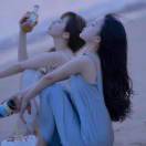腐草为萤_VTzF