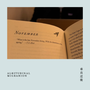 随便聊点鸟｜瞬间物种形成