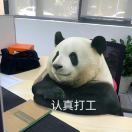 范范呀不好看版