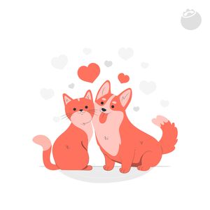 024 如何陪伴毛孩子度过一生？