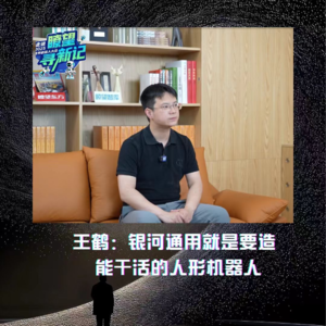 第273集 王鹤：银河通用就是要造能干活的人形机器人。