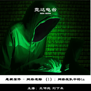 8. 网络迷踪(1):玩网游的TA