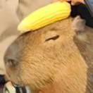 一个冰冷的问号