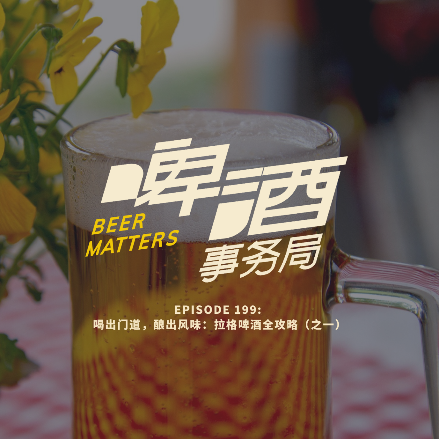 199. 喝出门道,酿出风味:拉格啤酒全攻略(之一)