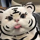 Zhang_cNg8