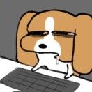 10行