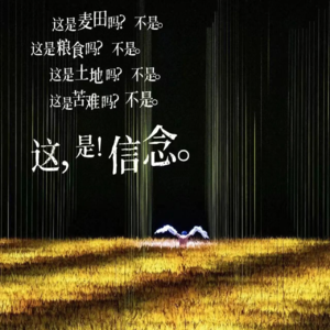 vol.3-只有河南③ | 晚年幸福取决于什么？