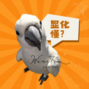 EP117-内耗停！用“沉浸式显化”让梦想自动上门|圣多纳释放法④从抗拒到顺流|如何让宇宙成为你的“快递员”