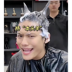 12.“疯狂小杨哥”们还能再创辉煌吗？