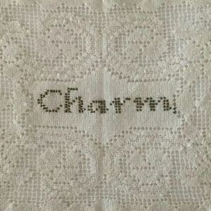 在墨西哥的公园记录