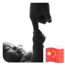 童童家的自然探索记