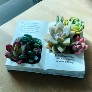 Vol.103 享受懒惰，没有关系 | 单口碎碎念