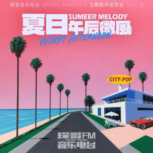 日本海风CITYPOP宝藏【夏日午后微风】