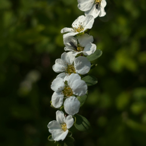 012 避坑风险企业，迎接时代浪潮｜看我如何突破：天坑文科专业，“不可饶恕的”GAP 期诅咒，AI来袭