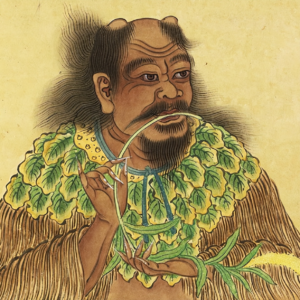 三皇五帝秘闻录