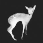 山苔