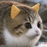 团子aac