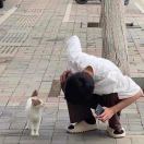 太阳当宏赵