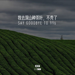 vol.180 我去深山种茶叶，不秃了