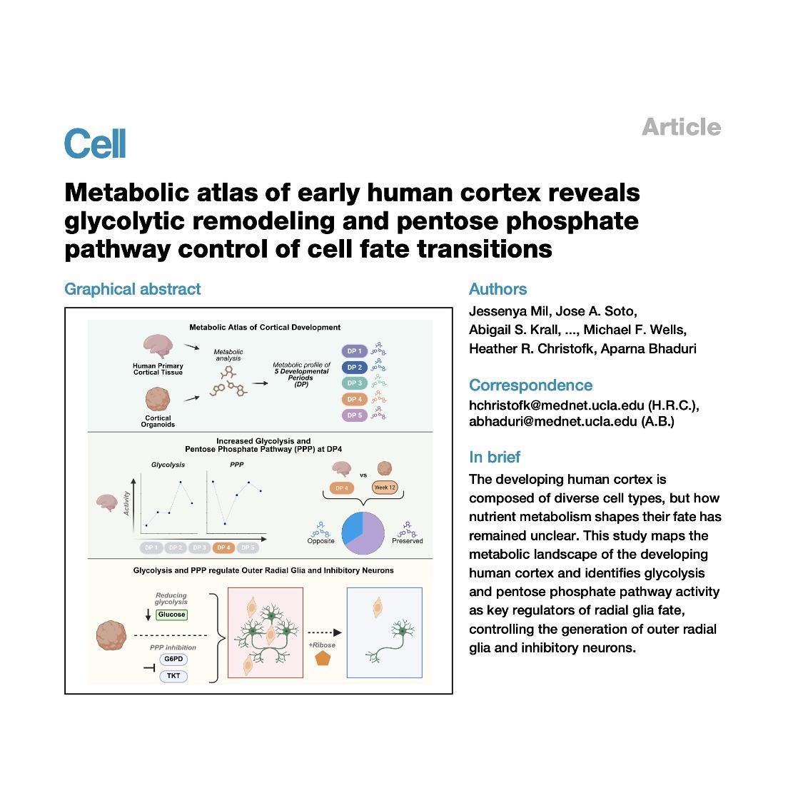 1509-Metabolic Atlas of the Developing Human Cortex episode artwork
