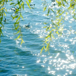 VOL415.如果你相信任何挫折都只是暂时的,你就选择了幸运。