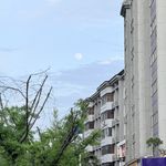 望向星空的眼睛