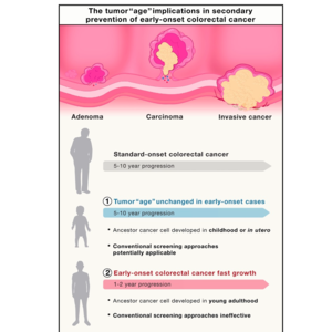 027-Tumor ‘‘age’’ in early-onset colorectal cancer
