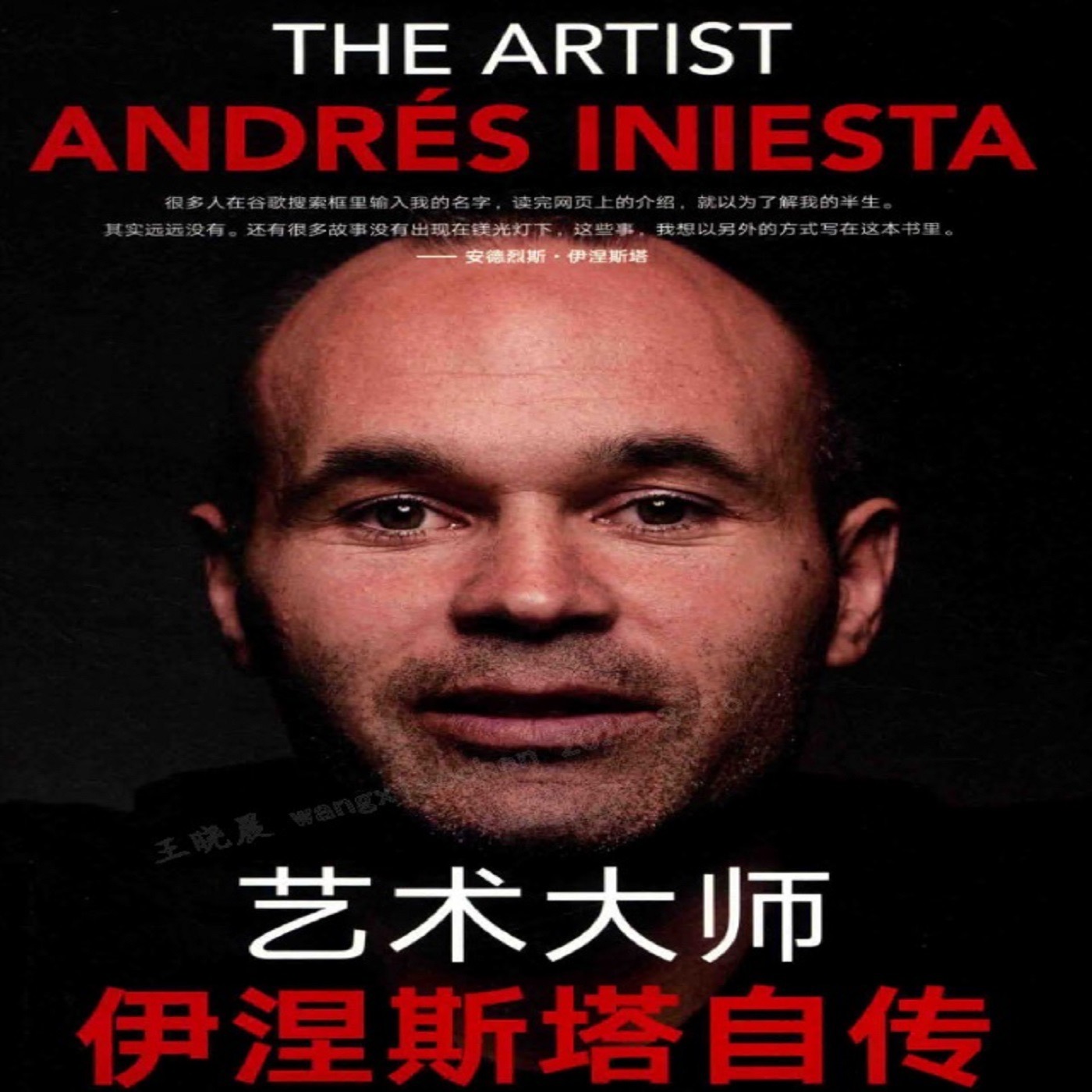 艺术大师：伊涅斯塔自传