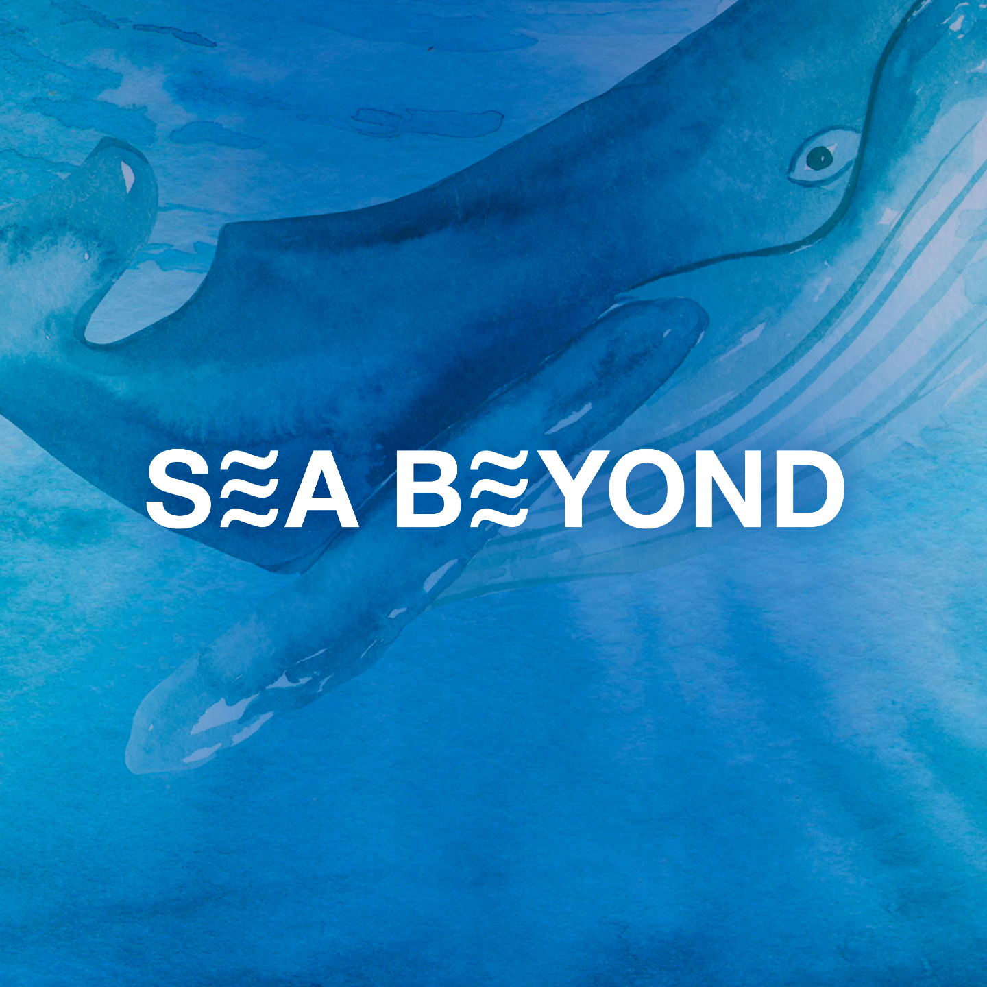 【SEA BEYOND】对话Enzo Barracco、张敬宜｜给大海拍一张肖像：至美之中，藏有深忧 episode artwork