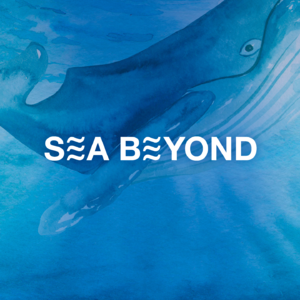 【SEA BEYOND】对话Enzo Barracco、张敬宜｜给大海拍一张肖像：至美之中，藏有深忧