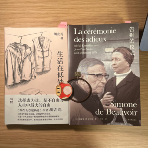 60 这个时代的中产蓝领还能逆天改命吗?从黑悟空到波伏瓦萨特