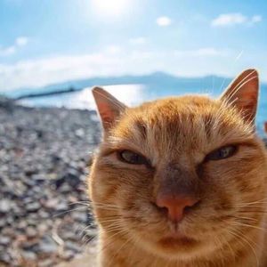 阿灰讲普通发故事