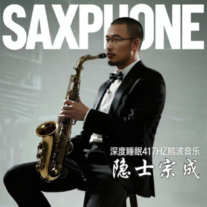 第4期 深度睡眠417HZ脑波音乐--隐腐