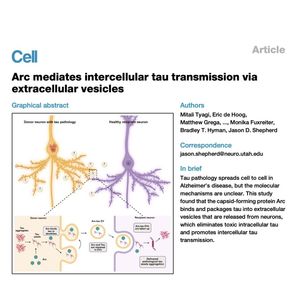1316-Arc Packaging Mediates Intercellular Tau Transmission