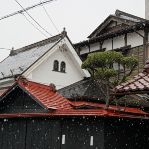 EP007 ❄️ AI 用耳朵“看”雪，听它讲冬日童话！