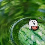 欢迎小张