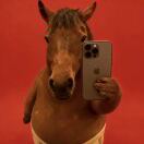 Naldo_YSlo