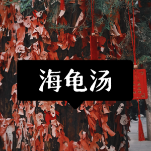 EP3:海龟汤,半夜不要看手机......