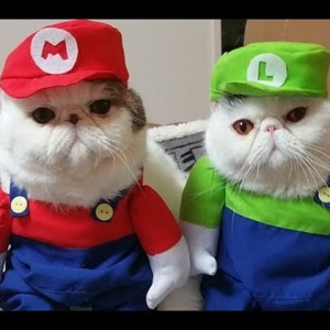 洪秀全的儿女们