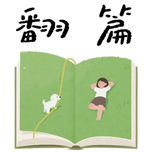 #206狠书解构「听《翻篇》作者滑洋聊翻篇儿：如何与过往和解，向 2026 奔赴？」