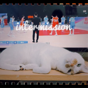 十二月的娱乐生活暨2025年终总结|intermission