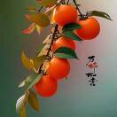 姜洪源