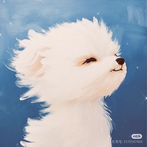 分贝过大-蛋壳儿