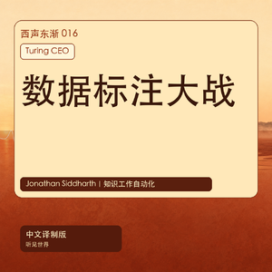 Turing CEO:AI数据标注大战,SaaS和知识工作会怎样被改写|中文译制版