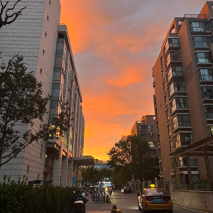 016 | 等待不经意,let it be