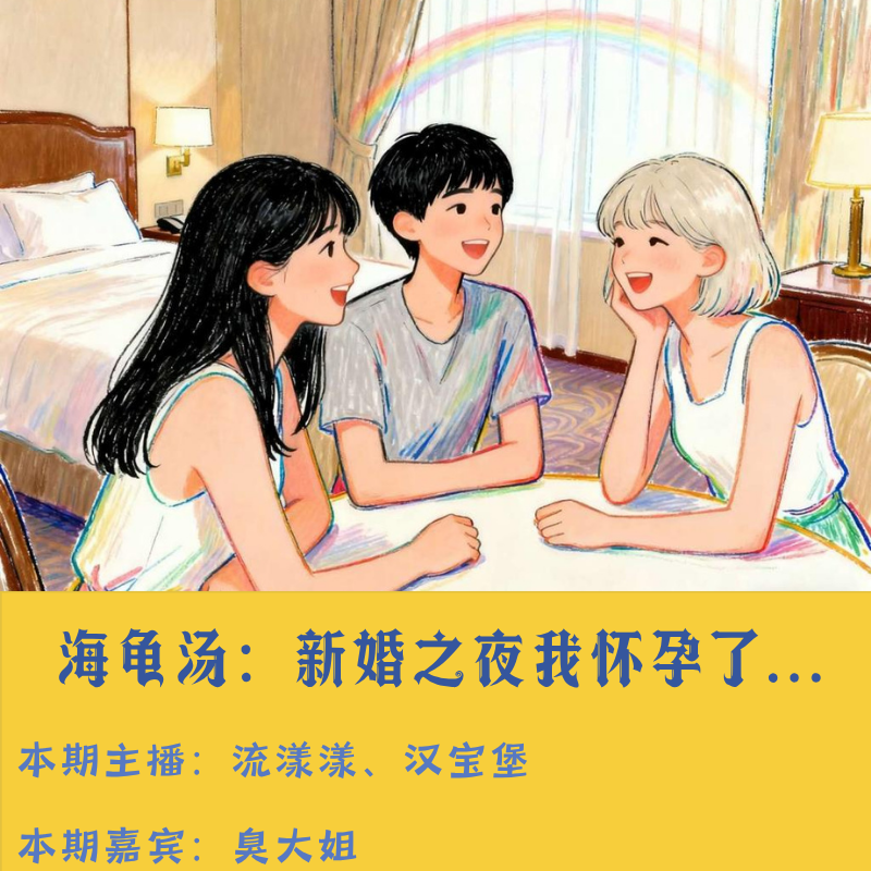 49. 海龟汤：新婚之夜我怀孕了，但是孩子不是我的… episode artwork