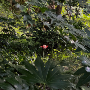 No.58-原来这些都是自我暴露后的礼物