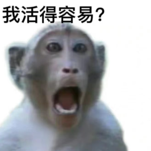 003-不是,谁说打工人闲着就得考证???