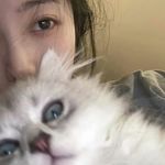 酸辣菜